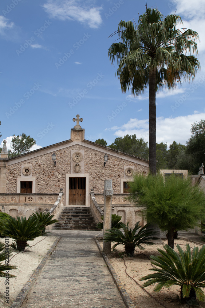 Friedhof Muncipal Pina mit Palme auf Mallorca 