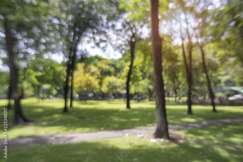 Fototapeta Naklejka Na Ścianę i Meble -  defocused bokeh background of  garden trees in sunny day