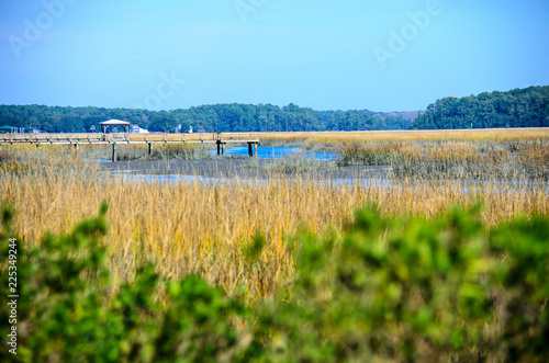 Wetlands and marsh area in Beaufort South Carolina, at low tide on a sunny day photo