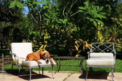 Sunbathing by the pool