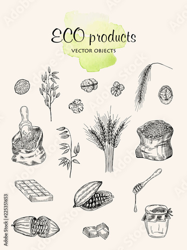Vector illustration. Eco products. Vector objects set. Pen style drawing.