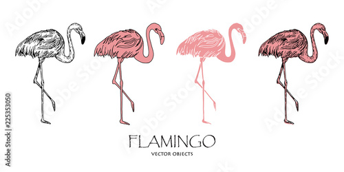 Vector flamingos set. Different styles of one. Vector objects.
