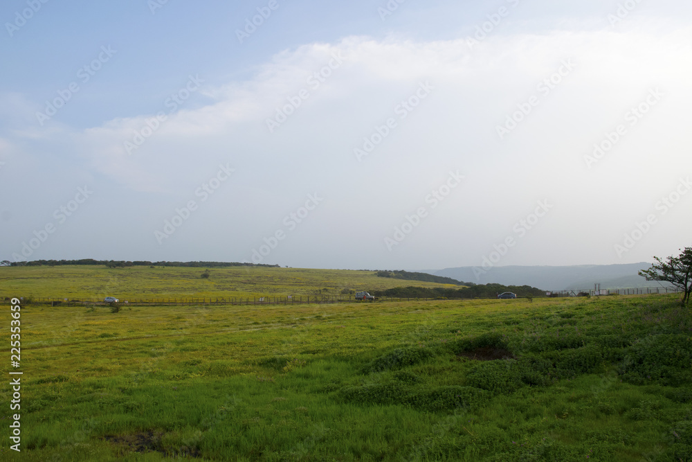 View of lush green plateau landscape in Satara
