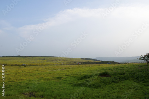 View of lush green plateau landscape in Satara