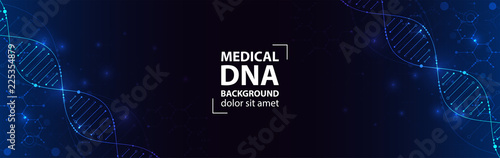 Science template, wallpaper or banner with a DNA molecules. Vector illustration.