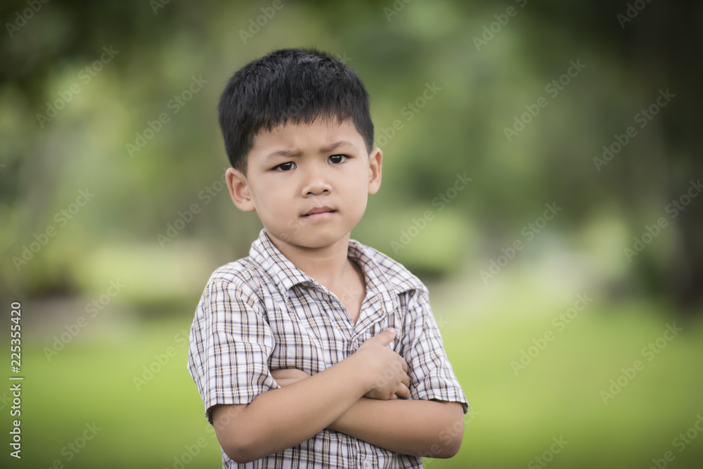 Portrait of cute little curious boy standing with arms folded and looking at camera with blurred nature background. Portrait of cute little curious boy standing with arms folded and looking at camera with blurred nature background.