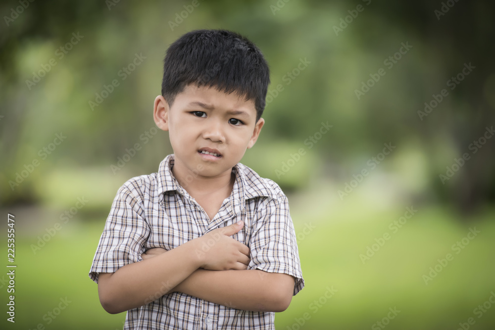 Portrait of cute little curious boy standing with arms folded and looking at camera with blurred nature background. Portrait of cute little curious boy standing with arms folded and looking at camera with blurred nature background.