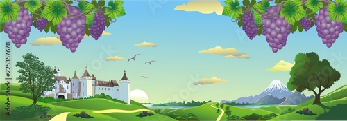 Landscape panorama with bunches of grapes and an ancient castle on the hill.