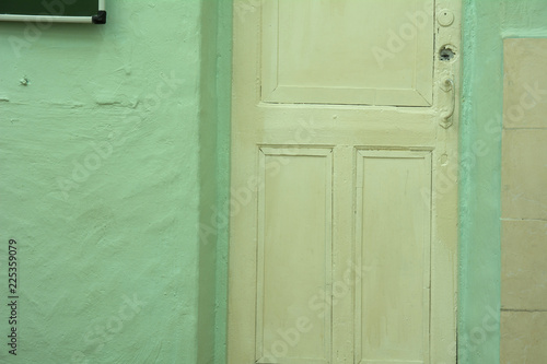 Background is an old white door and a green plaster wall