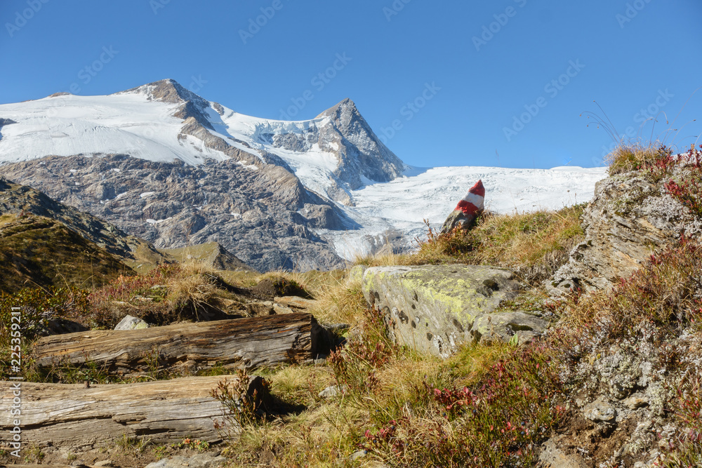 Wanderweg in den Alpen von Tirol zum Gletscher