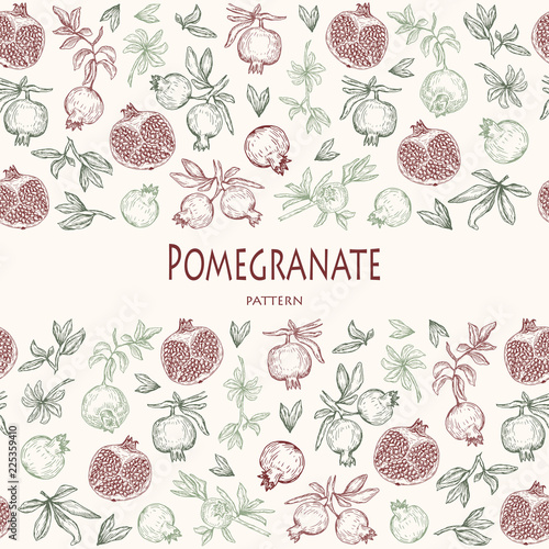 Vector illustration. Pen style vector. Element of seamless pattern. Pomegranates, cut pomegranate, branches and leaves.