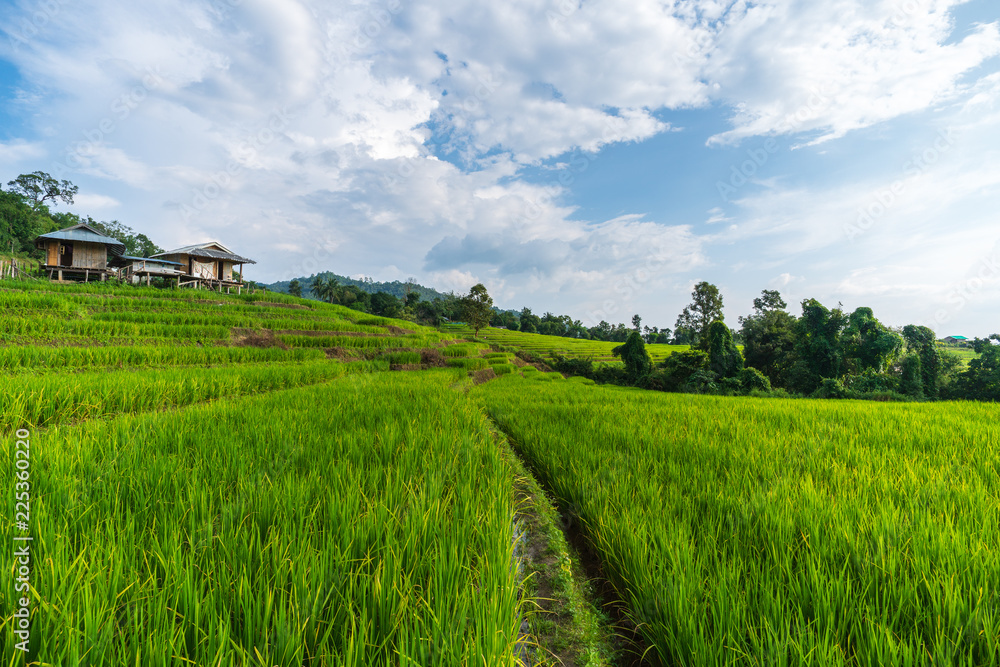 The rice field terraces at Papongpiang, Thailand.