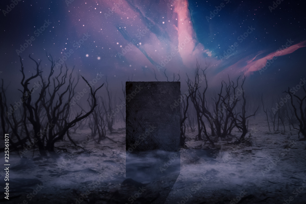 Ancient Places Backgrounds - Monolith Stone in Dead Forest - obrazy, fototapety, plakaty 