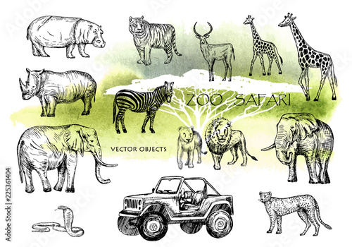 Vector hand drawn sketched animal set. Zoo safari: elephant, zebra, lion, rhino, giraffe , hippo, snake, leopard, tiger, antelope and safari jeep. Pen style vector. Watercolor style safari background.