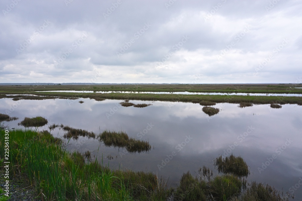 Marshland on Deal Island, Somerset County, Maryland, USA. Deal Island is one of many land masses in the Chesapeake Bay that is shrinking due to a combination of its low elevation and storm erosion.