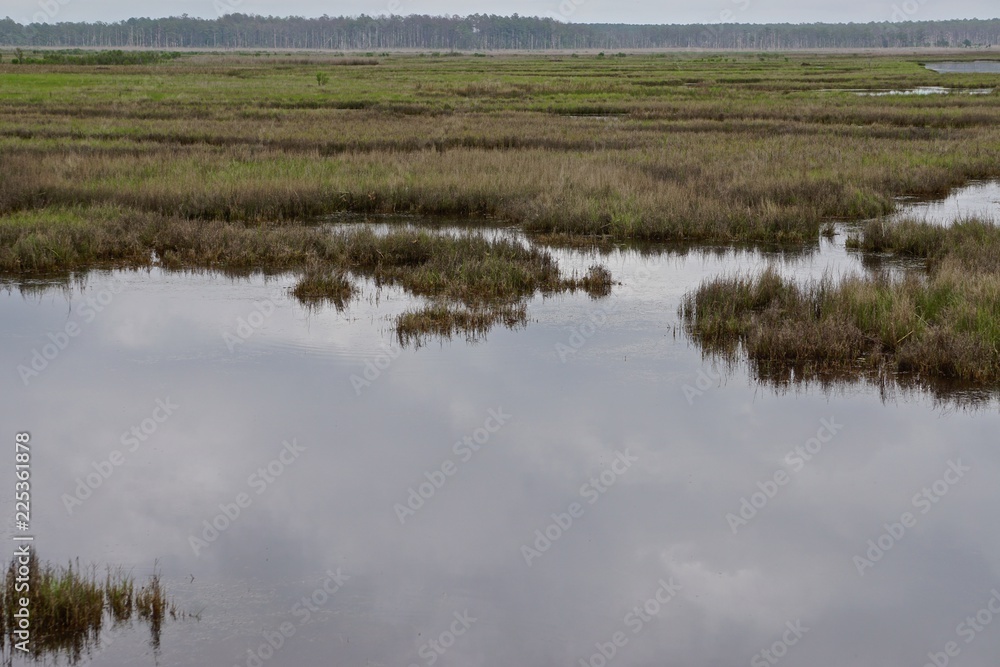Marshland on Deal Island, Somerset County, Maryland, USA. Deal Island is one of many land masses in the Chesapeake Bay that is shrinking due to a combination of its low elevation and storm erosion. Marshland on Deal Island, Somerset County, Maryland, USA. Deal Island is one of many land masses in the Chesapeake Bay that is shrinking due to a combination of its low elevation and storm erosion.