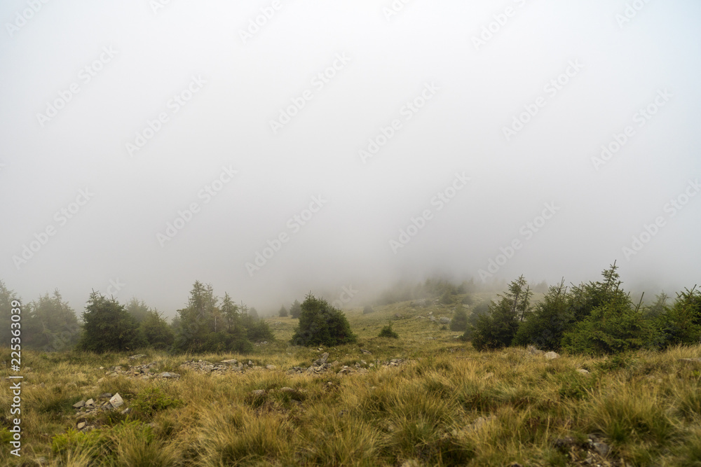 western carpathian mountain tops in autumn covered in mist or clouds. panoramic view from a distance in sunny day