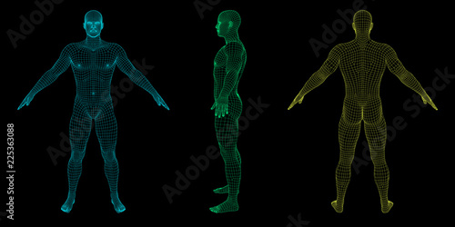 Standing man. Wireframe human body. Vector outline illustration.