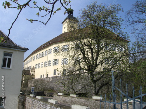 Schloss Horneck in Gundelsheim photo