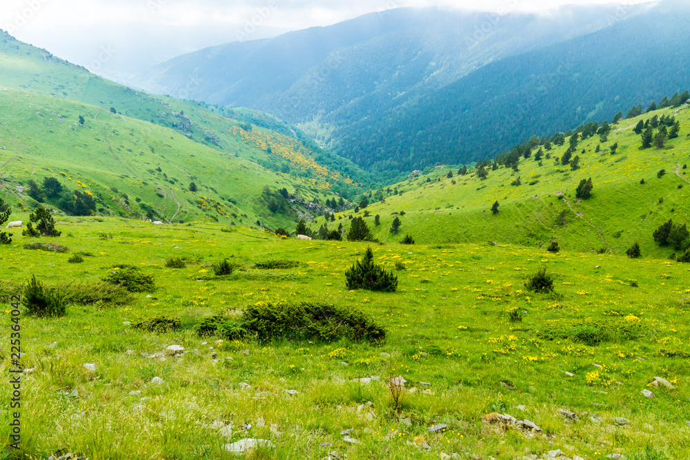 Fototapeta premium Hiking in the Catalan Pyrenees Mountains (Espinavell, Catalonia, Spain)
