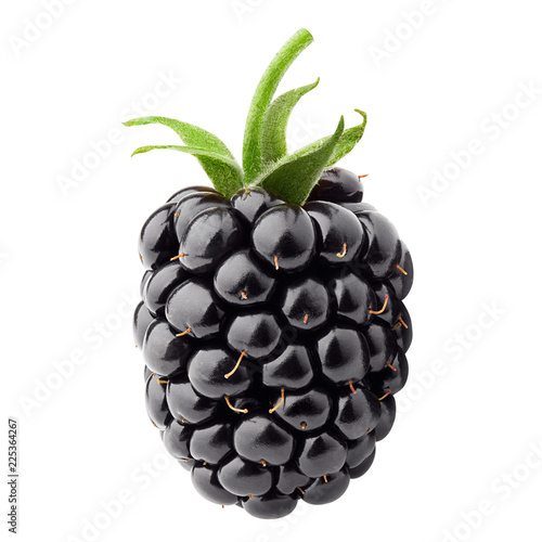 blackberry isolated on white background, clipping path, full depth of field photo