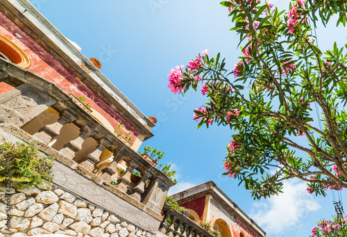 Elegant building and oleander tree in world famous Capri island photo