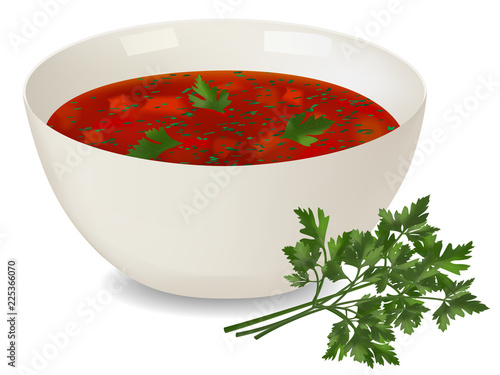 White porcelain bowl with red soup and parsley on white background. Realistic style. Vector illustration.