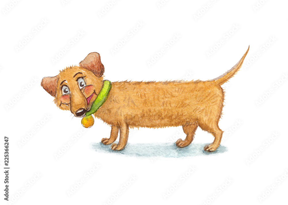 Obraz premium Dachshund