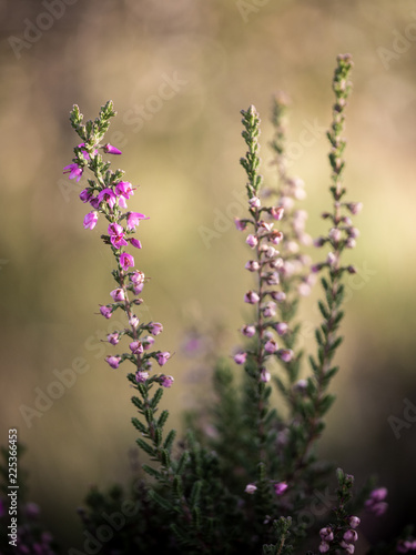 farbe