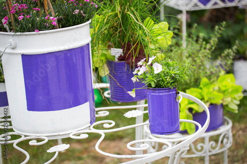 horizontal image with details of wrought iron garden furniture and floral decorations of green plants in purple pots photo