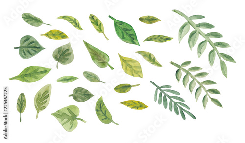 Collection of watercolor green leaves