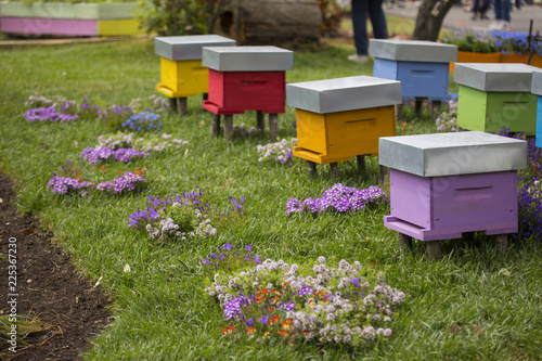 horizontal image of many houses for bees of various colors in a public garden