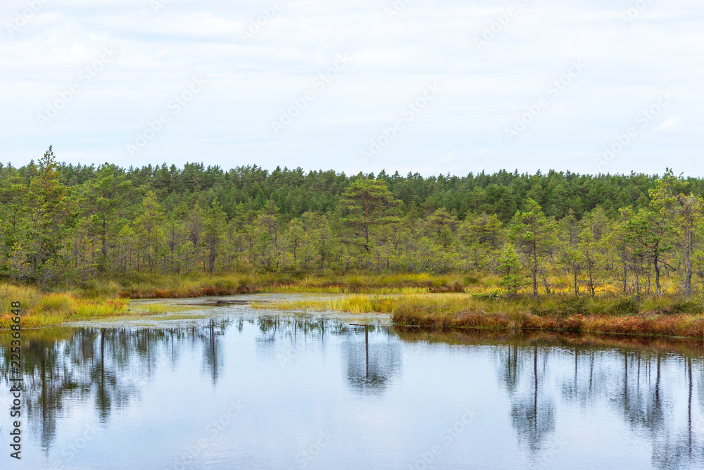 Viru bog (Viru raba) in the Lahemaa National Park in Estonia.