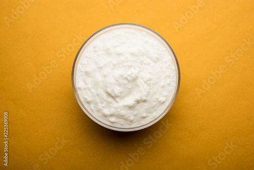 Plain curd or yogurt or Dahi in Hindi, served in a bowl over moody background. Selective focus