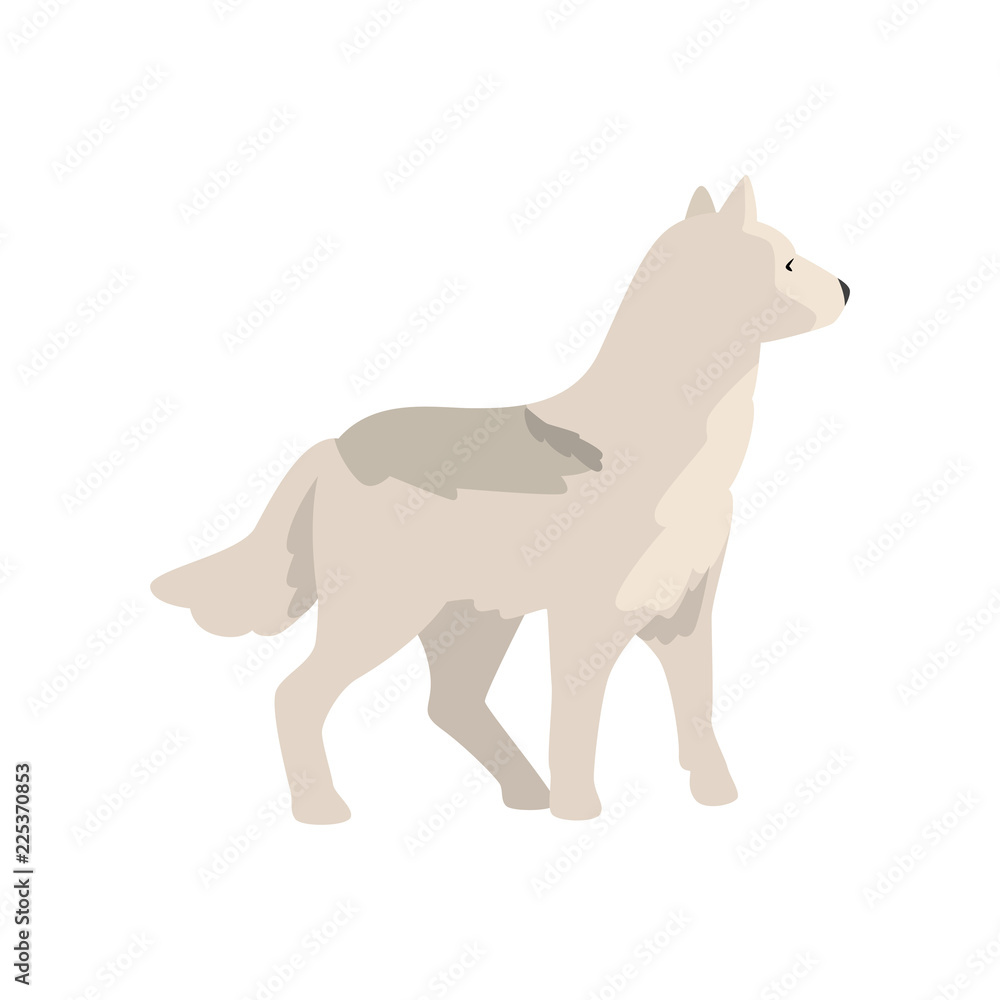 Polar wolf arctic animal vector Illustration on a white background