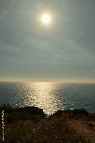 Desde el faro de Bolonia 2 photo