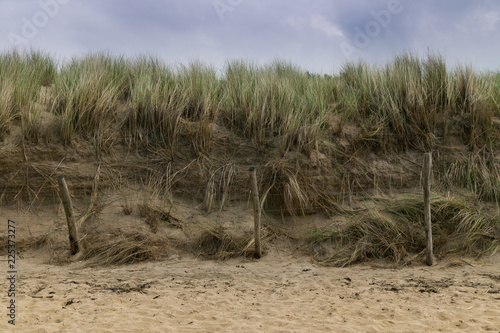 Zaun vor Düne