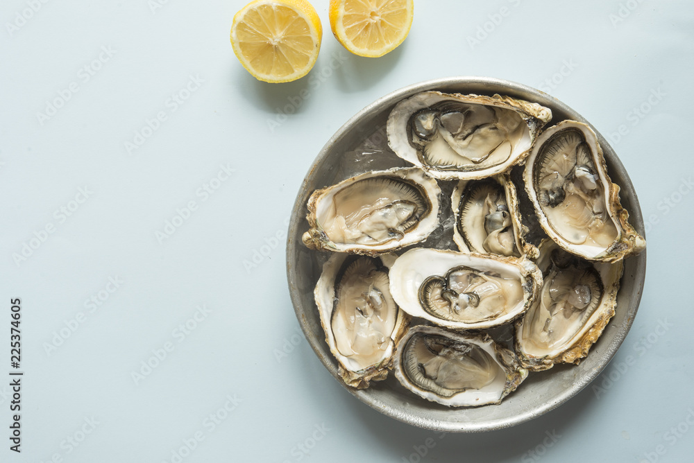 Oyster fresh gourmet Oyster fresh gourmet