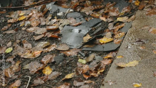 Leaves and rubble on a rainy day photo