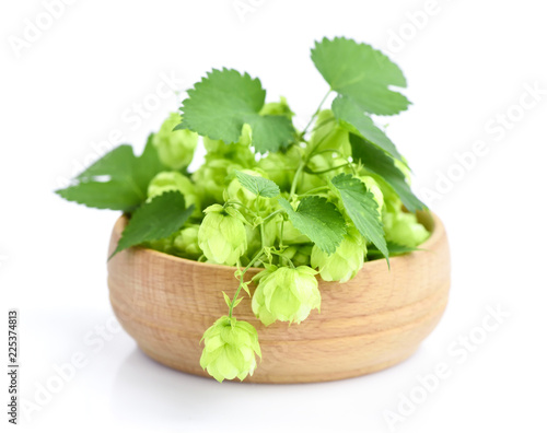 Hop cones (Humulus) on a wooden bowl isolated on white background