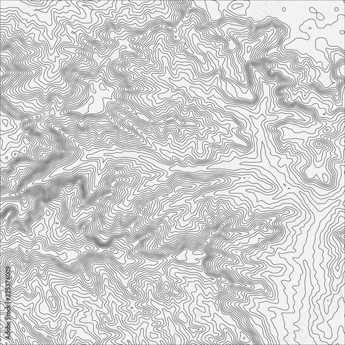 Topographic map background concept with space for your copy. Topo contour map background, vector illustration