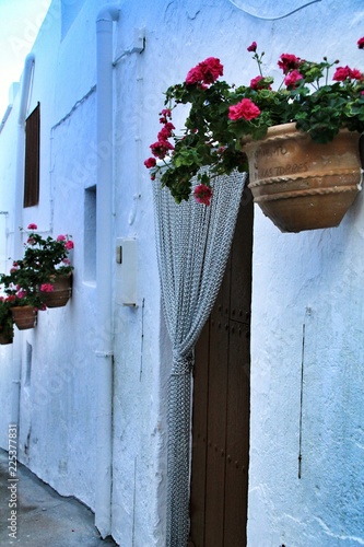 Fototapeta Naklejka Na Ścianę i Meble -  Narrow streets and white facades of Lucainena de Las Torres, Almería
