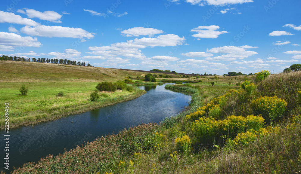 Sunny summer landscape with river curve and growing on the riverbank yellow blooming flowers of solidago virgaurea(european goldenrod or woundwort).Beautiful view of fields,meadows,pastures and woods. Sunny summer landscape with river curve and growing on the riverbank yellow blooming flowers of solidago virgaurea(european goldenrod or woundwort).Beautiful view of fields,meadows,pastures and woods.