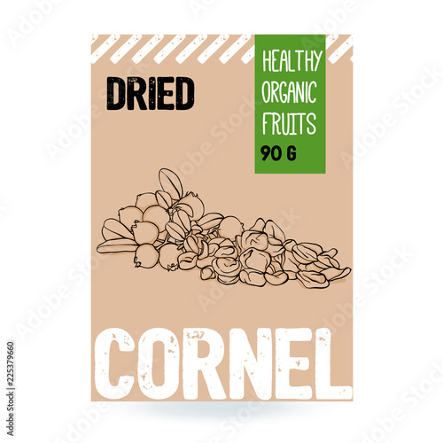 Beautiful vector hand drawn Cornelian organic berry, Dogwood dried. Template elements collection for packaging design. Modern illustrations isolated on white background..