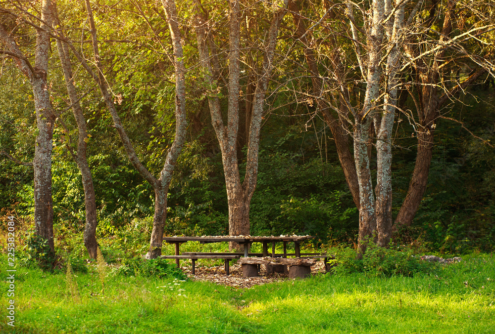 Wooden bench with picnic table in old park