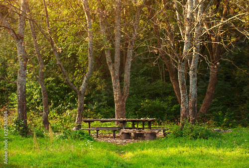 Wooden bench with picnic table in old park