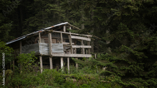 Turkey  Bolu  Gerede Plateau  wooden highland house in forest