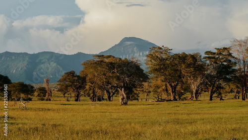 Savannah grassland against a mountain background, Tsavo, Kenya photo