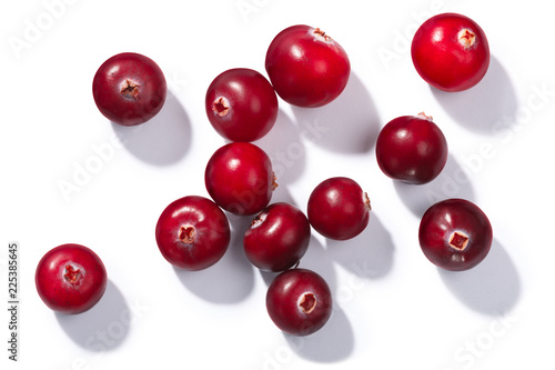 Cranberries v. oxycoccus, top view, paths
