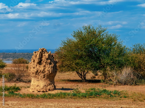 A termite mound at Lake Magadi, Kenya